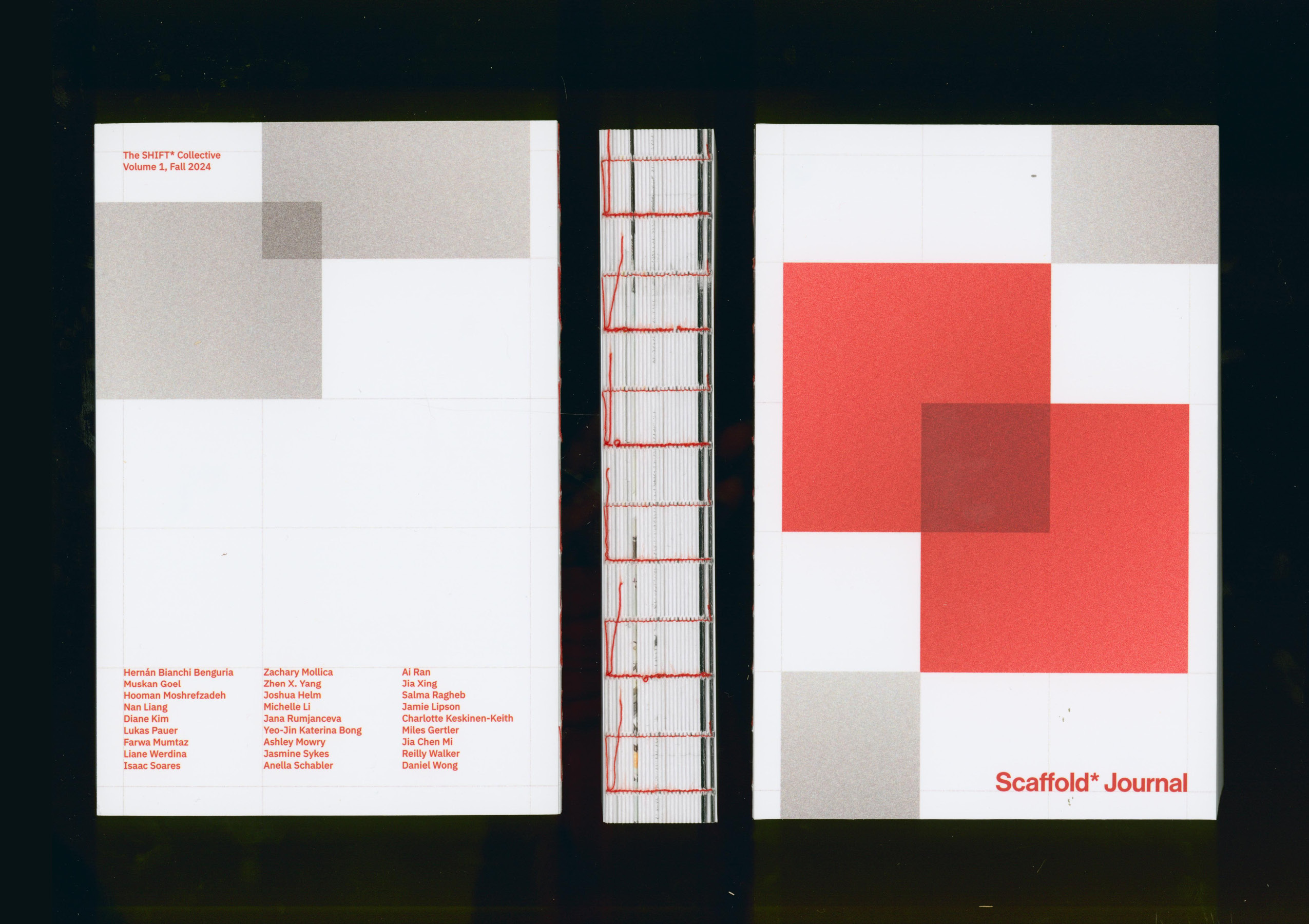 Larger image of Scaffold* Journal Volume 1